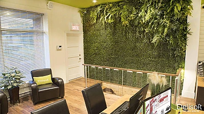 Mur végétal au rez de chaussée