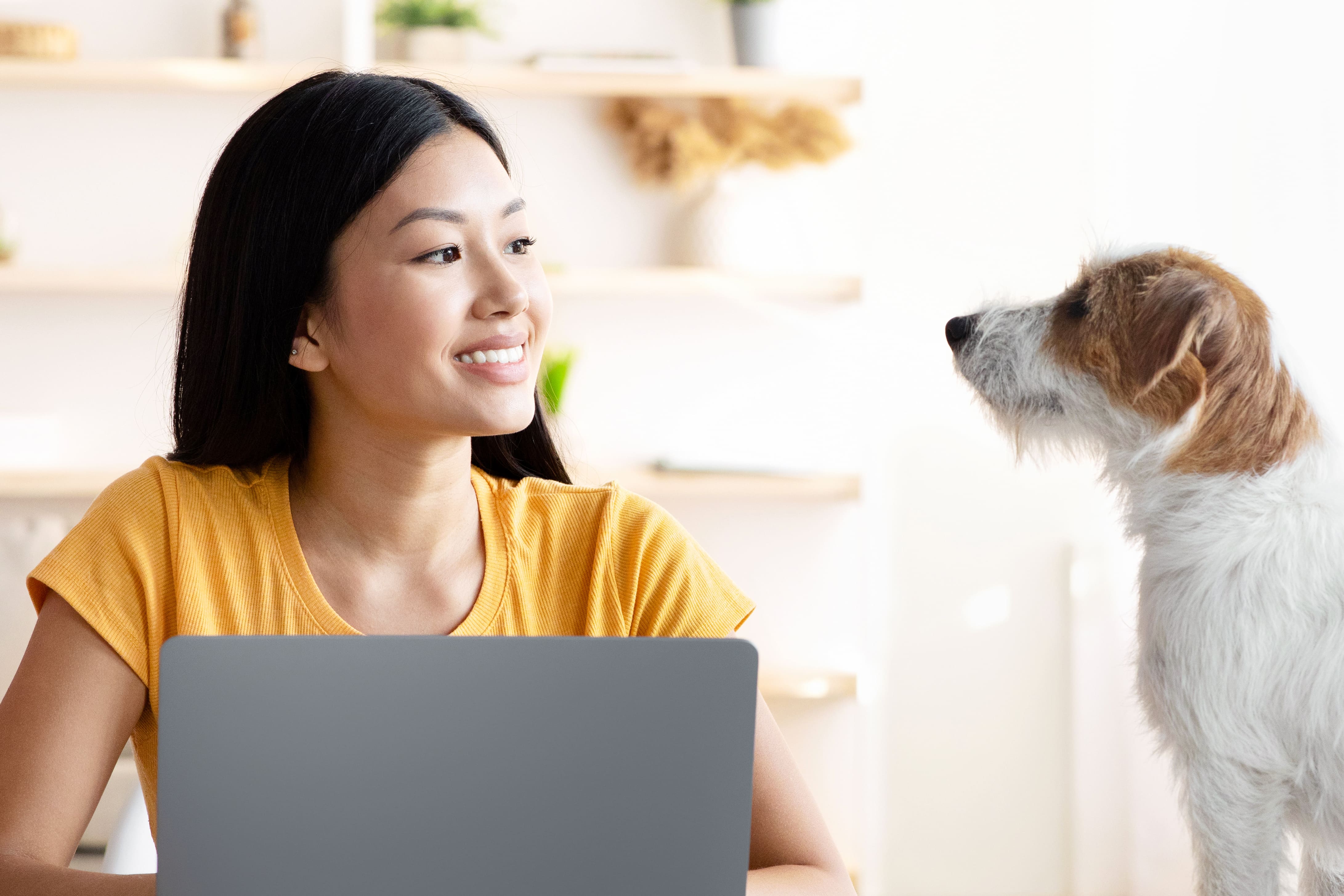 Technologies et innovations pour la sécurité et le bien-être des animaux