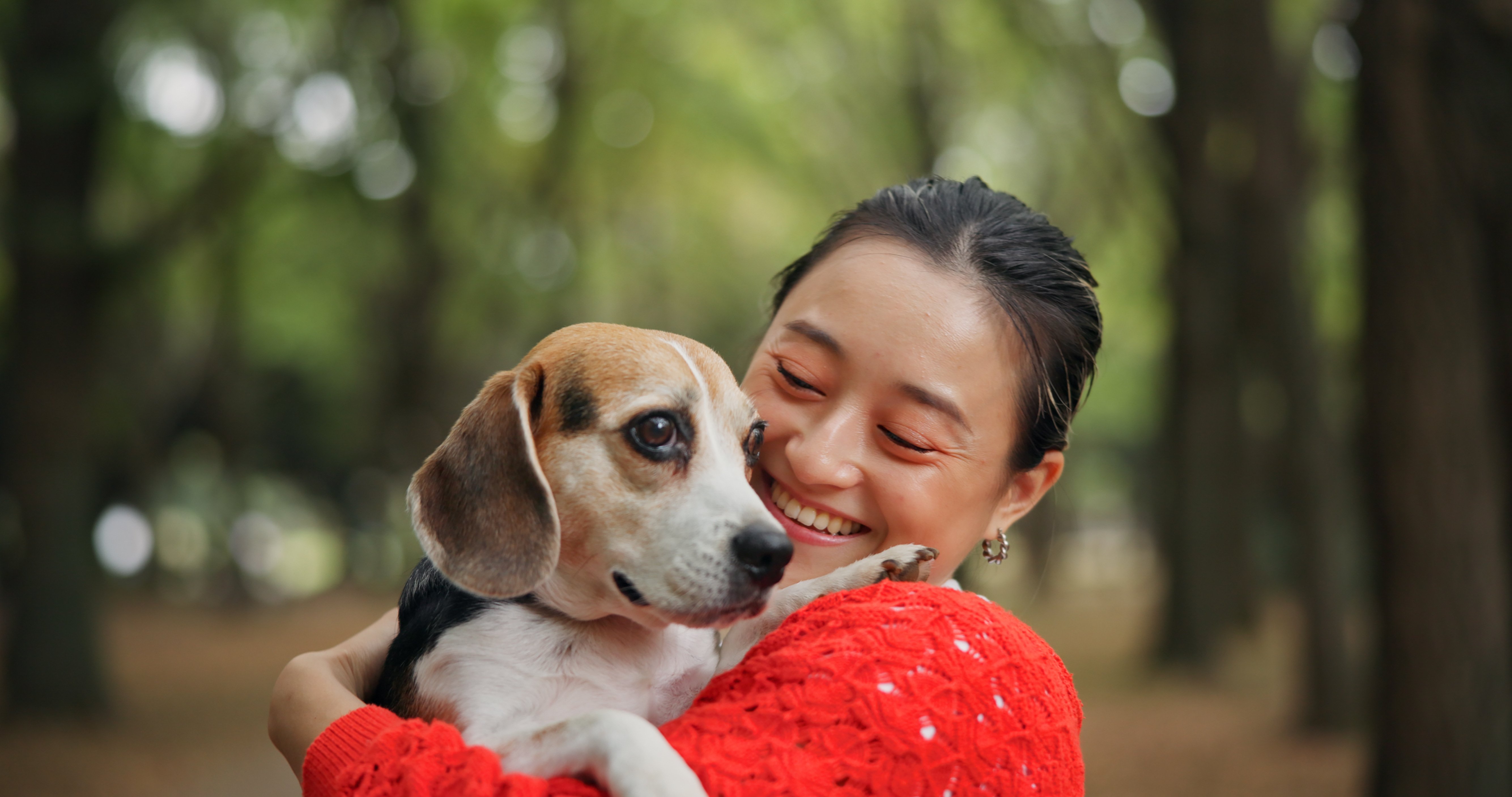 Comment préparer une trousse d’urgence pour votre animal (tempêtes, incendies, etc.).