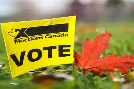 Élections canadiennes 2025 : Pourquoi les PME et les experts du web comme Delisoft vous encouragent à voter